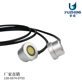 铝外壳外贴式液位计探头DYW-2M-01F